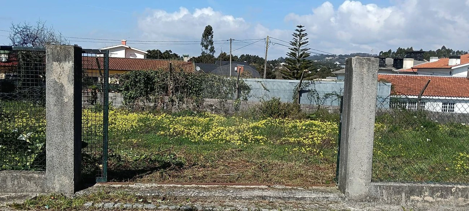 Terreno para Venda em Paços de Brandão Foto 8
