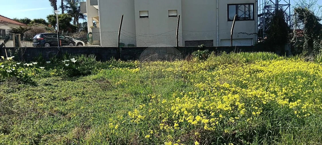 Terreno para Venda em Paços de Brandão Foto 6