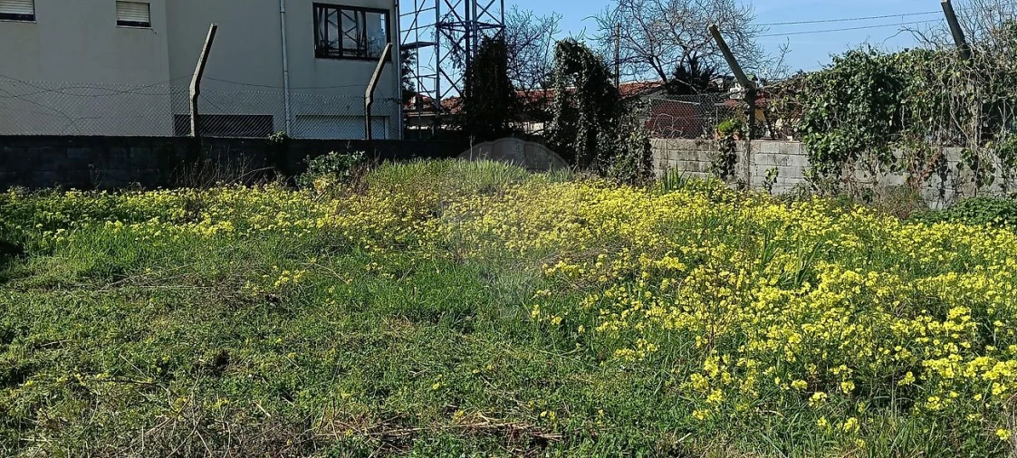 Terreno para Venda em Paços de Brandão Foto 2