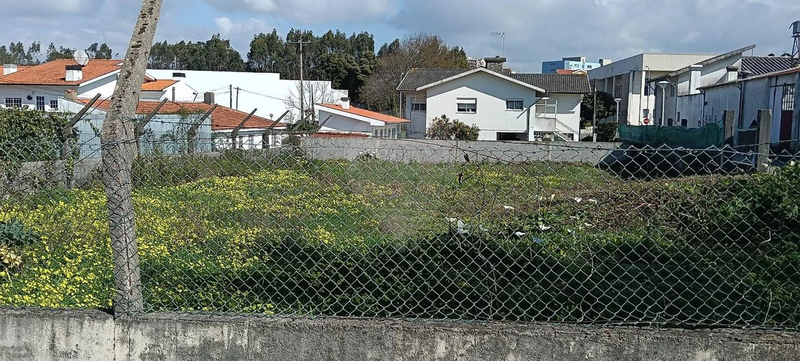 Terreno para Venda em Paços de Brandão Foto 1