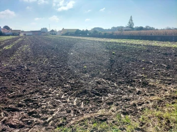 Terreno para Venda em Valega