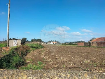Terreno para Venda em Valega