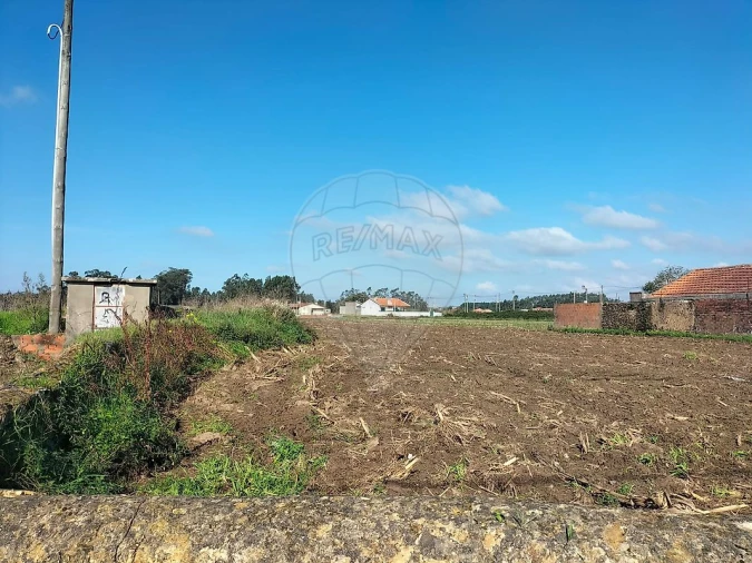 Terreno para Venda em Valega Foto 5