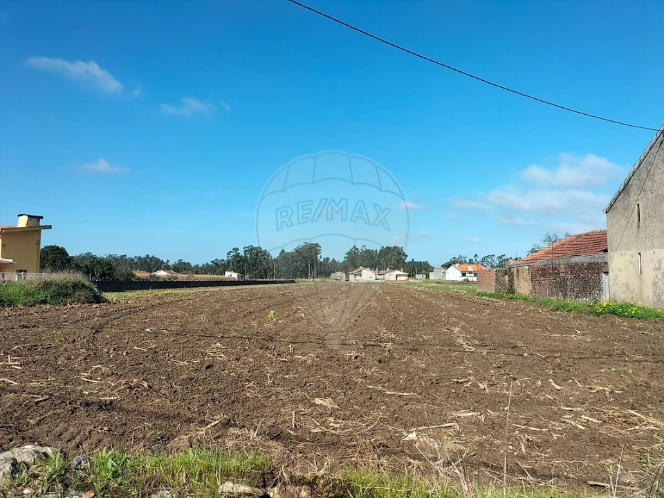 Terreno para Venda em Valega Foto 3