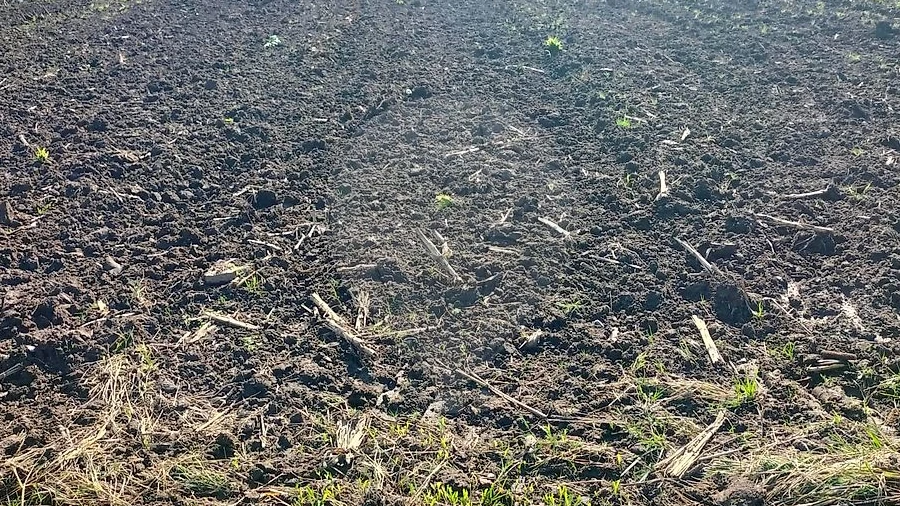 Terreno para Venda em Valega