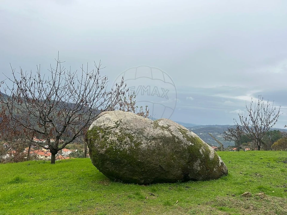 Terreno para Venda em Freigil e Miomães Foto 1