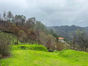 Terreno para Venda em Freigil e Miomães