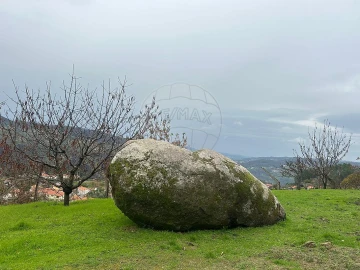 Terreno para Venda em Freigil e Miomães