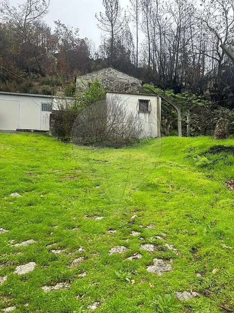 Terreno para Venda em Freigil e Miomães