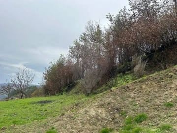 Terreno para Venda em Freigil e Miomães