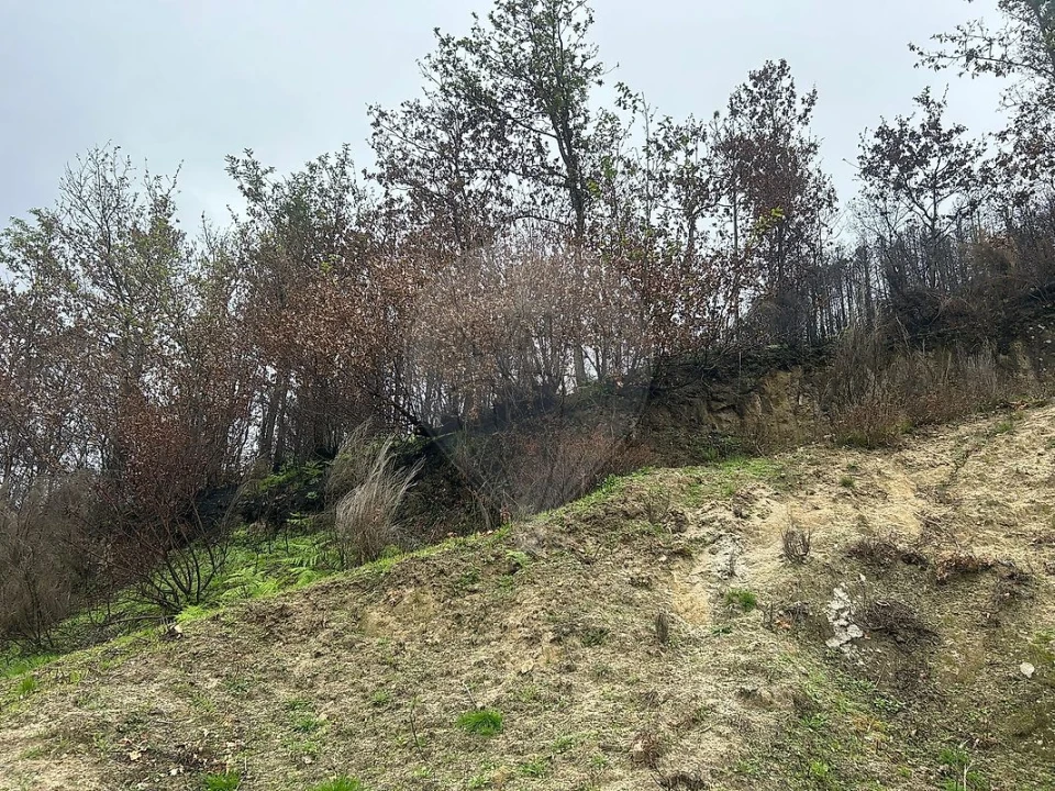 Terreno para Venda em Freigil e Miomães Foto 5