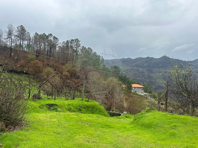 Terreno para Venda em Freigil e Miomães Foto 7