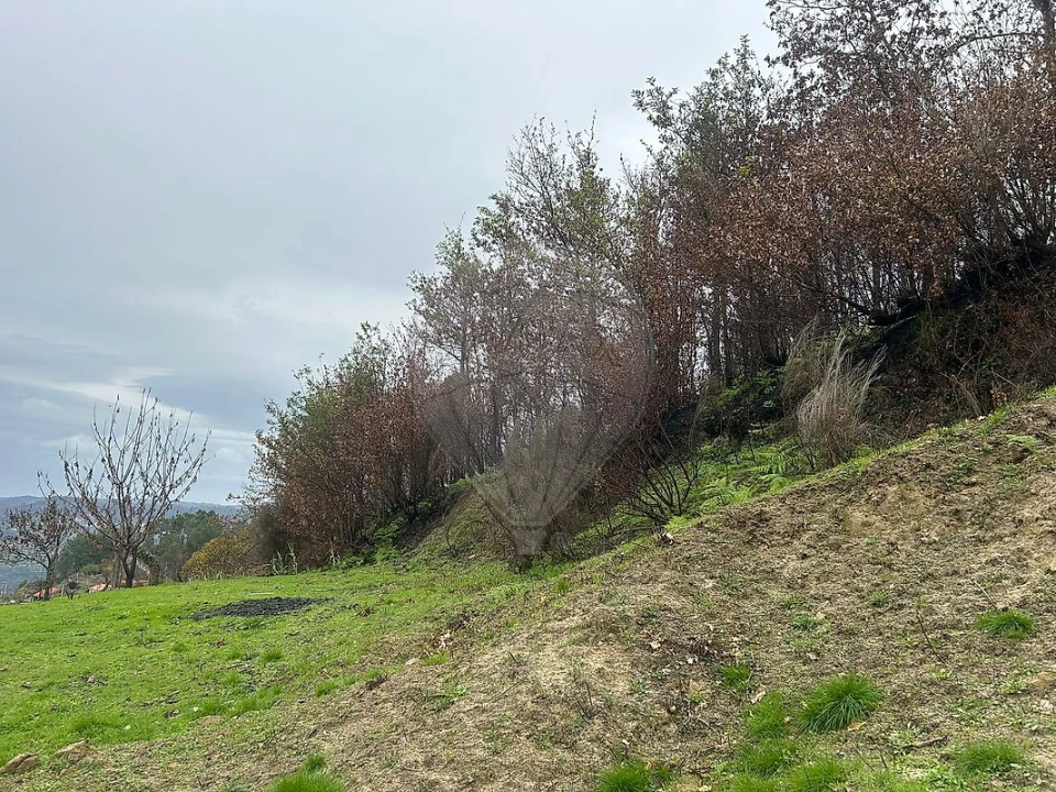Terreno para Venda em Freigil e Miomães Foto 6