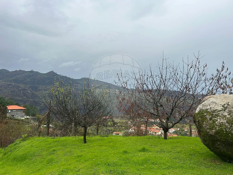 Terreno para Venda em Freigil e Miomães Foto 4