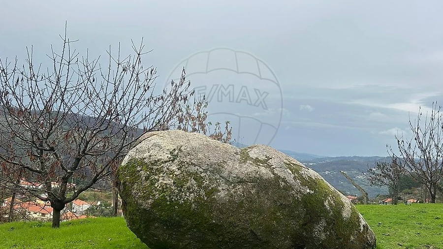 Terreno para Venda em Freigil e Miomães