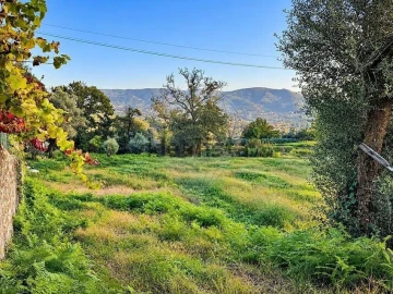 Terreno para Venda em Refoios do Lima
