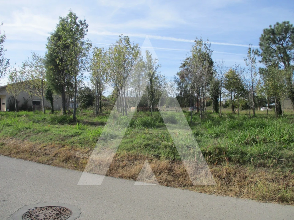 Terreno para Venda em Bustos, Troviscal e Mamarrosa Foto 1