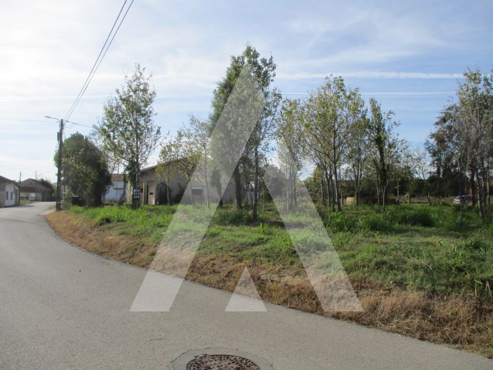 Terreno para Venda em Bustos, Troviscal e Mamarrosa Foto 3