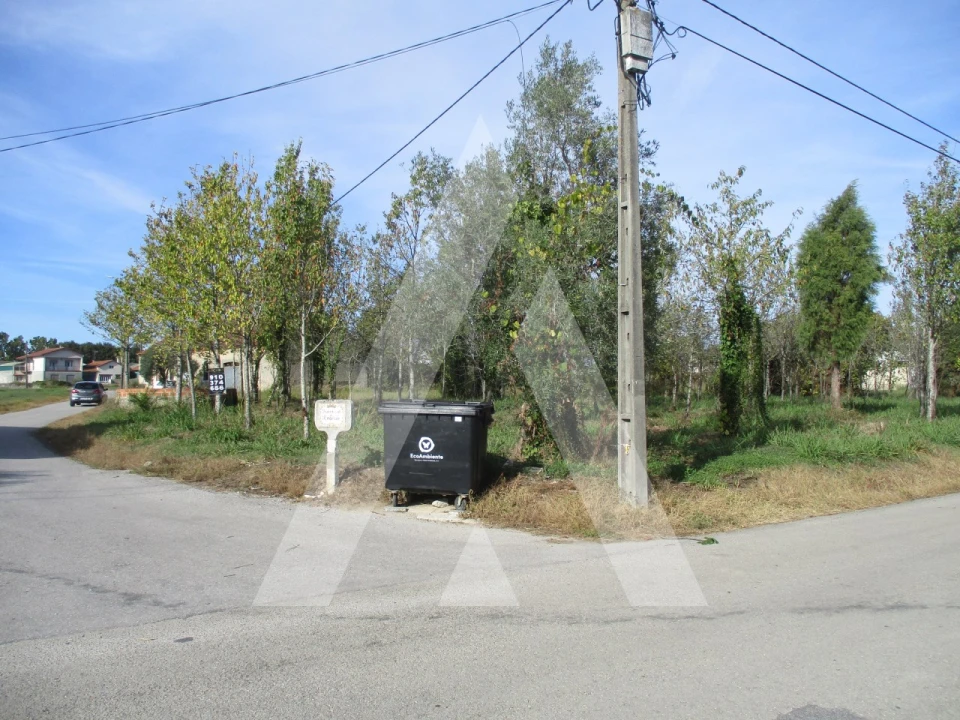 Terreno para Venda em Bustos, Troviscal e Mamarrosa Foto 6