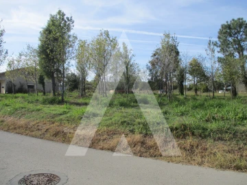 Terreno para Venda em Bustos, Troviscal e Mamarrosa