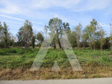 Terreno para Venda em Bustos, Troviscal e Mamarrosa
