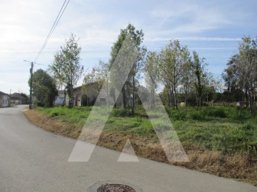 Terreno para Venda em Bustos, Troviscal e Mamarrosa