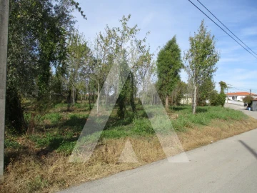 Terreno para Venda em Bustos, Troviscal e Mamarrosa