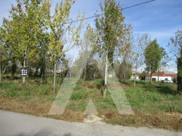 Terreno para Venda em Bustos, Troviscal e Mamarrosa