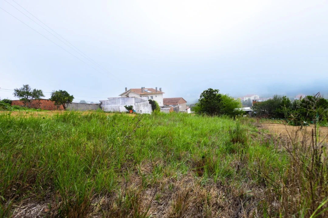 Terreno Agricola ou Rústico para Venda em Figueiro do Campo Foto 2