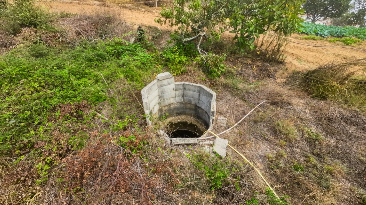 Terreno Agricola ou Rústico para Venda em Figueiro do Campo Foto 8