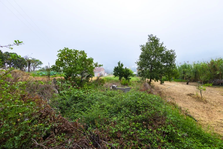 Terreno Agricola ou Rústico para Venda em Figueiro do Campo Foto 3