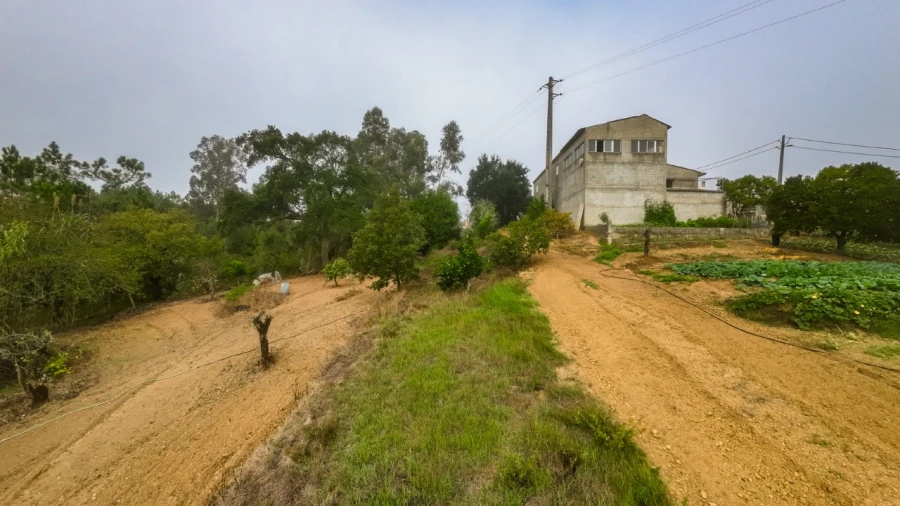 Terreno Agricola ou Rústico para Venda em Figueiro do Campo Foto 9