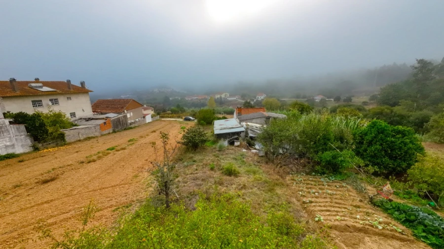 Terreno Agricola ou Rústico para Venda em Figueiro do Campo Foto 10