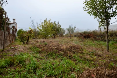 Terreno Agricola ou Rústico para Venda em Figueiro do Campo