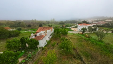 Terreno Agricola ou Rústico para Venda em Figueiro do Campo