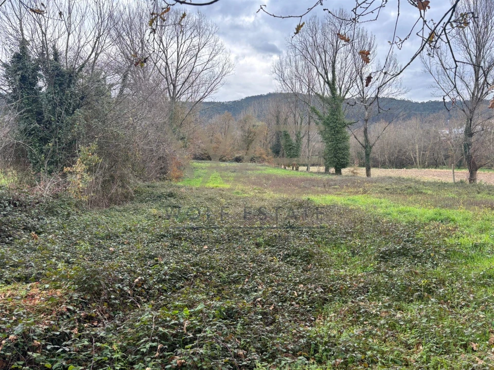 Terreno Agricola ou Rústico para Venda em Celeirós, Aveleda e Vimieiro Foto 4