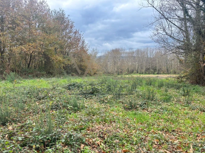 Terreno Agricola ou Rústico para Venda em Celeirós, Aveleda e Vimieiro Foto 3