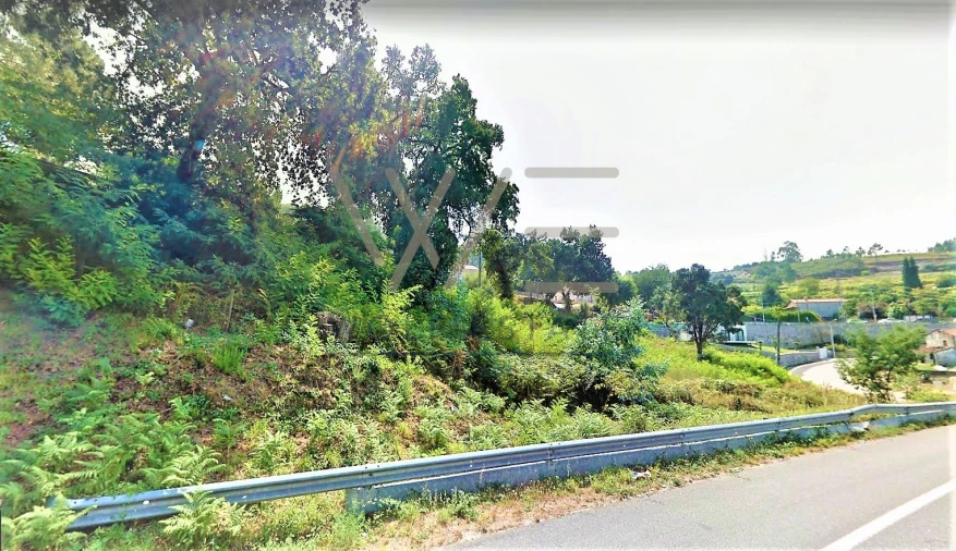 Terreno para Venda em Covelas Foto 2