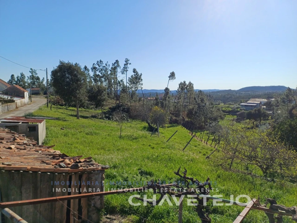 Quinta T4 para Venda em Cernache do Bonjardim, Nesperal e Palhais Foto 17