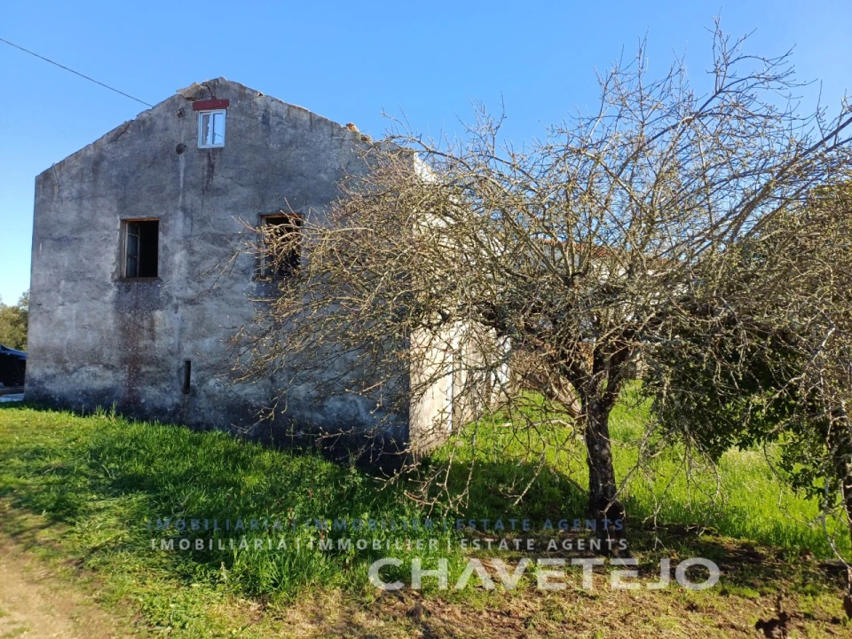 Quinta T4 para Venda em Cernache do Bonjardim, Nesperal e Palhais Foto 19