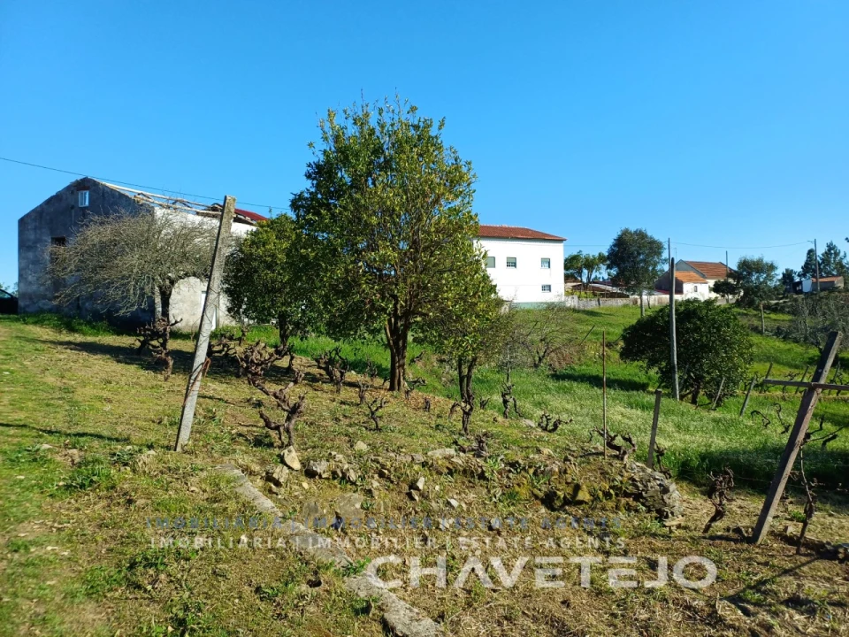 Quinta T4 para Venda em Cernache do Bonjardim, Nesperal e Palhais Foto 21