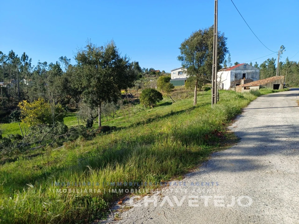 Quinta T4 para Venda em Cernache do Bonjardim, Nesperal e Palhais Foto 29