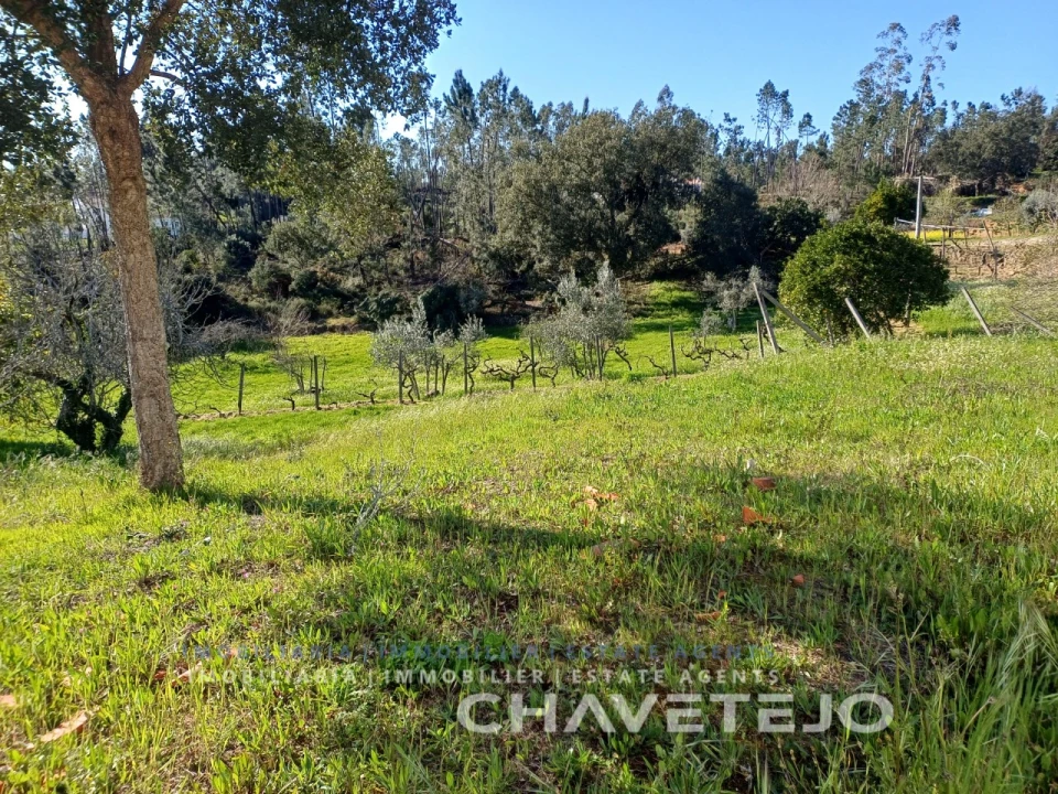 Quinta T4 para Venda em Cernache do Bonjardim, Nesperal e Palhais Foto 31