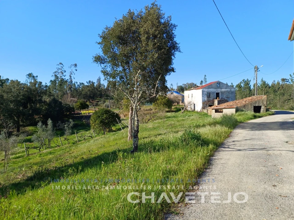 Quinta T4 para Venda em Cernache do Bonjardim, Nesperal e Palhais Foto 32