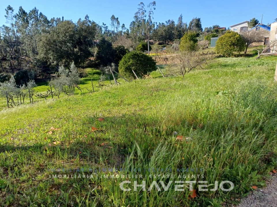 Quinta T4 para Venda em Cernache do Bonjardim, Nesperal e Palhais Foto 33