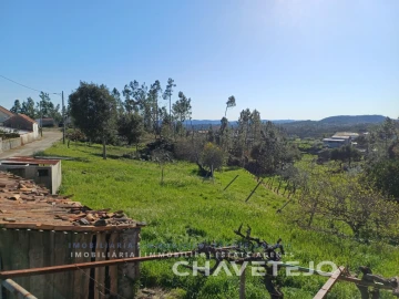 Quinta T4 para Venda em Cernache do Bonjardim, Nesperal e Palhais