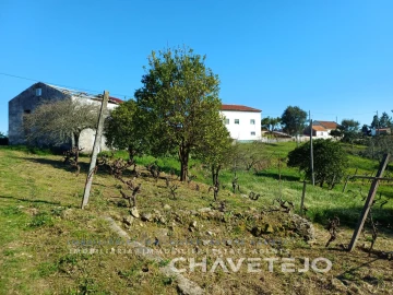 Quinta T4 para Venda em Cernache do Bonjardim, Nesperal e Palhais