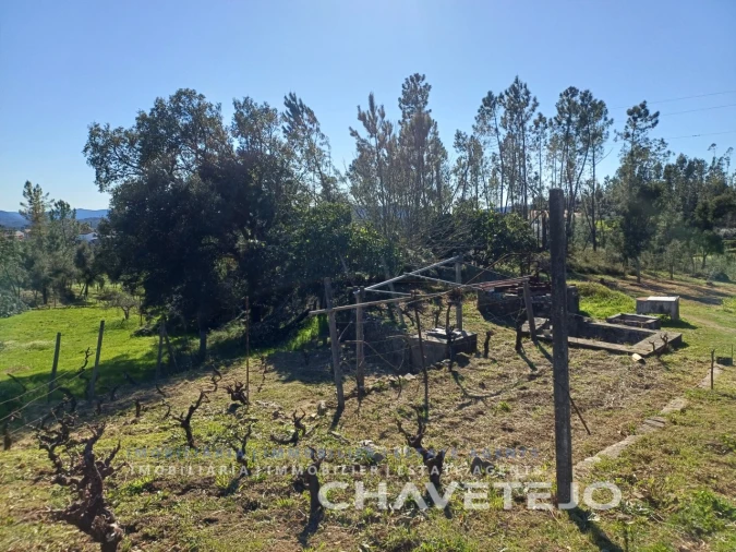 Quinta T4 para Venda em Cernache do Bonjardim, Nesperal e Palhais Foto 20