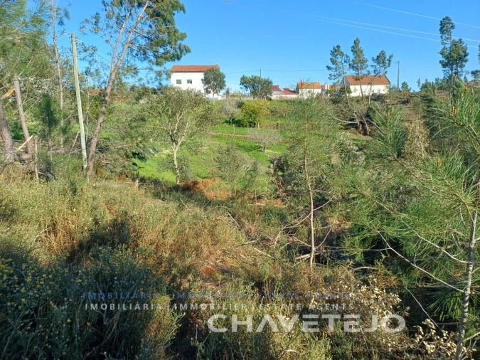 Quinta T4 para Venda em Cernache do Bonjardim, Nesperal e Palhais Foto 22