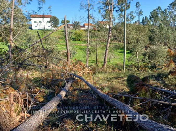 Quinta T4 para Venda em Cernache do Bonjardim, Nesperal e Palhais Foto 23